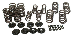 BUG BUGGY RACING DUAL VALVE SPRING KIT W/ RETAINERS & LOCKS, 4041